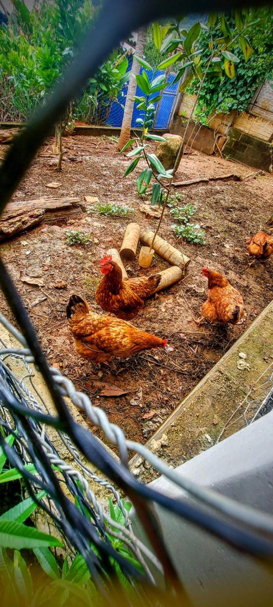 Rancho Acacia Sao Roque 호텔 외부 사진