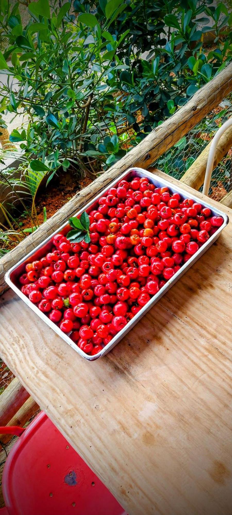 Rancho Acacia Sao Roque 호텔 외부 사진